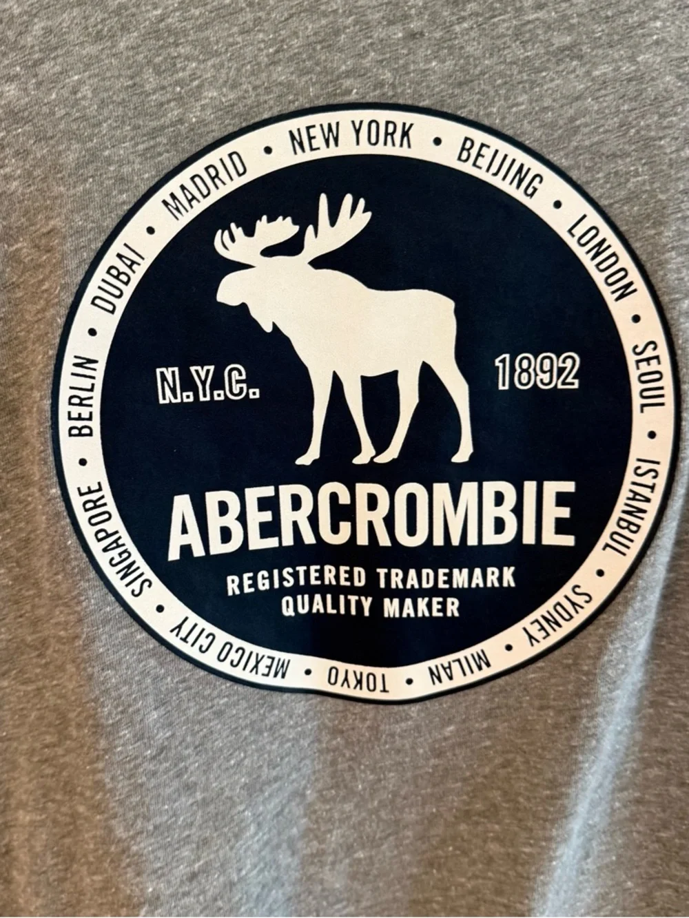 Abercrombie Kids Boys Gray Logo Long Sleeve Tee Shirt Casual Basic Size 13/14